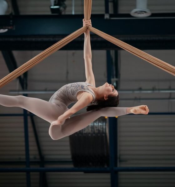 aerial fabric dance